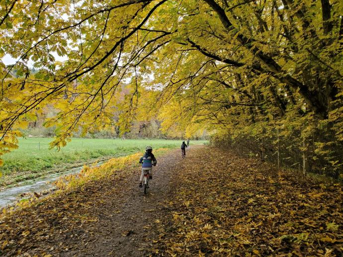 Balade en velo dans la nature
