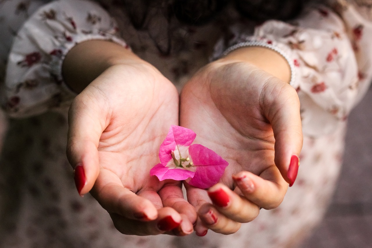 mains offrant une fleur