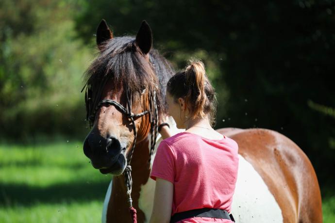 femme avec cheval