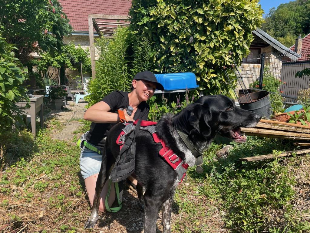 femme qui caresse un chien