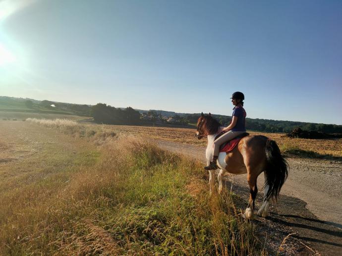 cheval et cavaliere dans la campagne